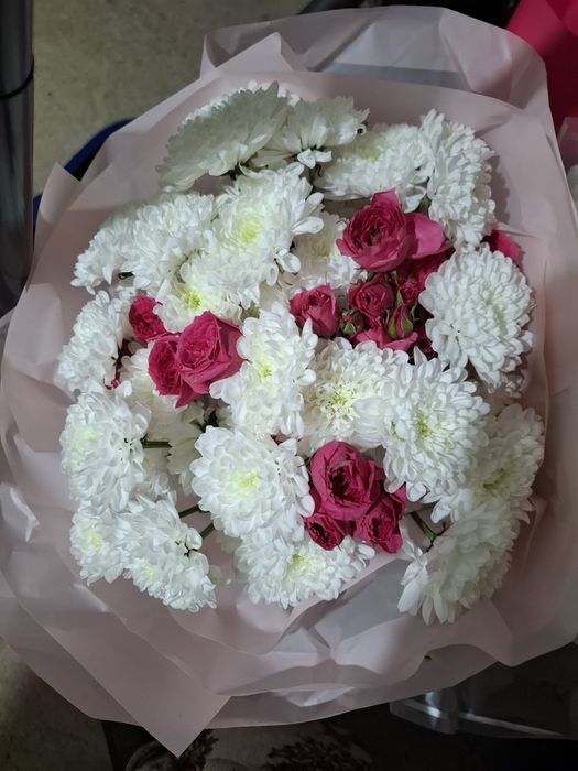 Цветы Живые б/у.