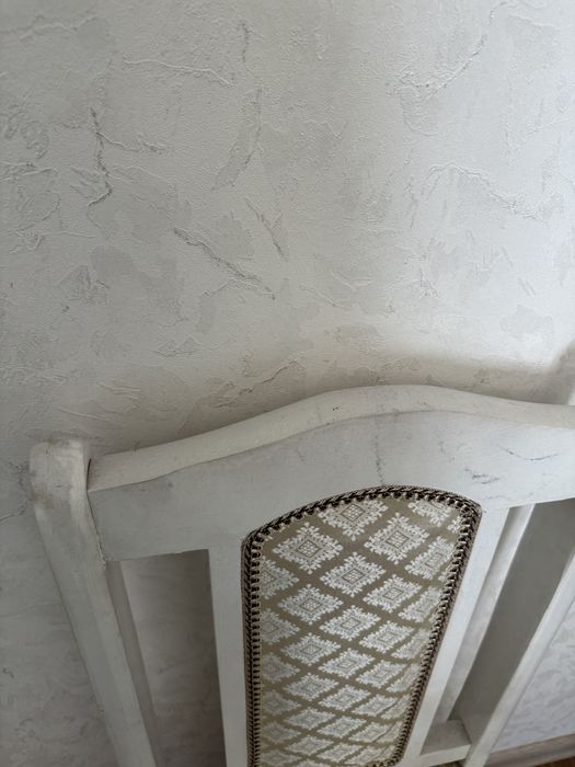 Стол (3 х 3,5) и стулья (10шт)