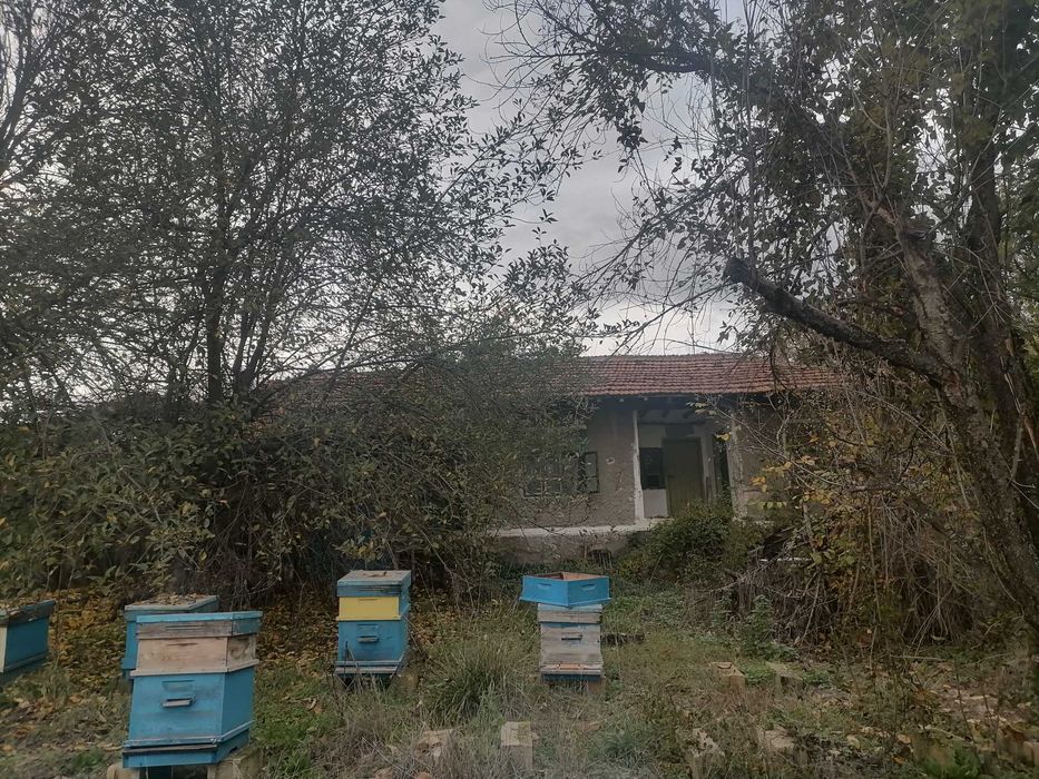 Продава се Къща в с. Храброво, Област Варна - 2000 кв.м за 10 €/кв.м - Снимка #5