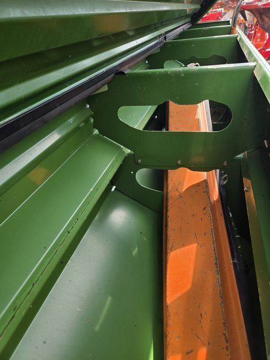 Semanatoare Paioase Amazone D9-40