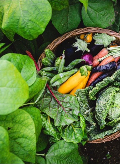 Място под наем гр.Костинброд 500кв.м