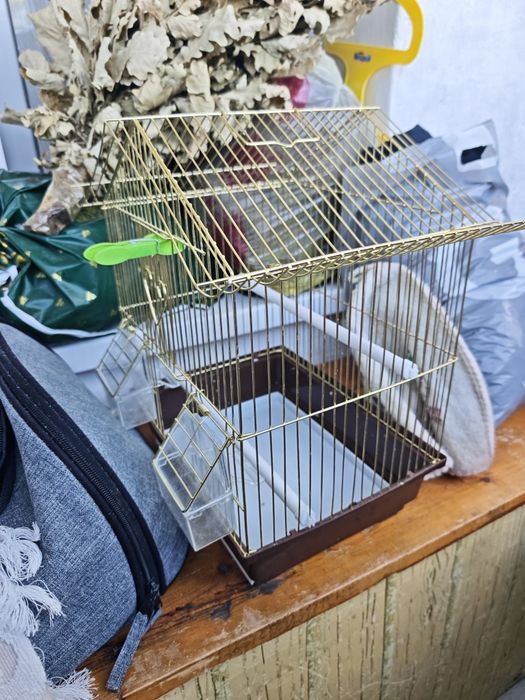 Продам попугаев с клетками