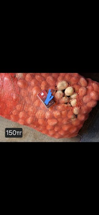 Продам домашний картофель