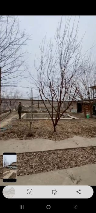 продаётся участок большой  Кибрайский район