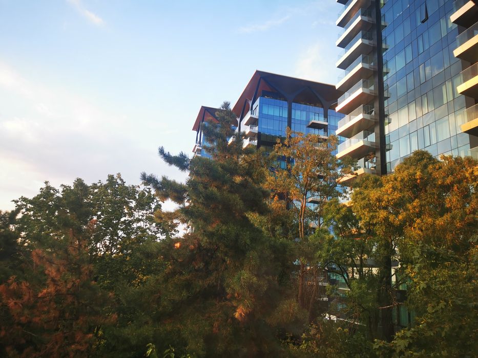 Apartament 2 camere Floreasca, in parc, langa One, pet friendly, 950€