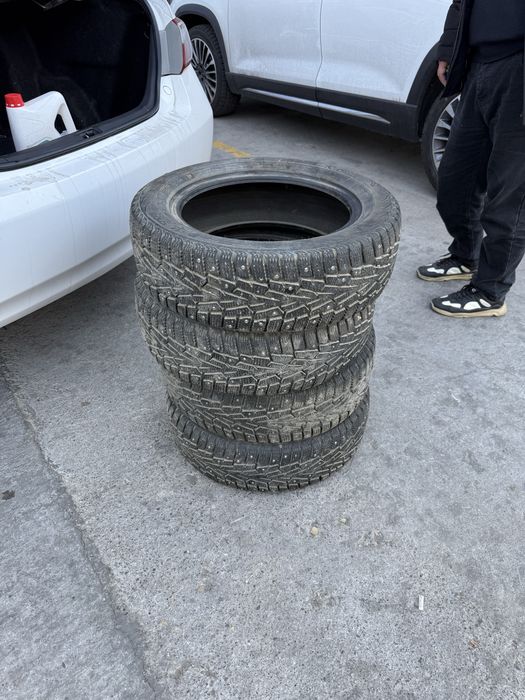 зимный шина……………