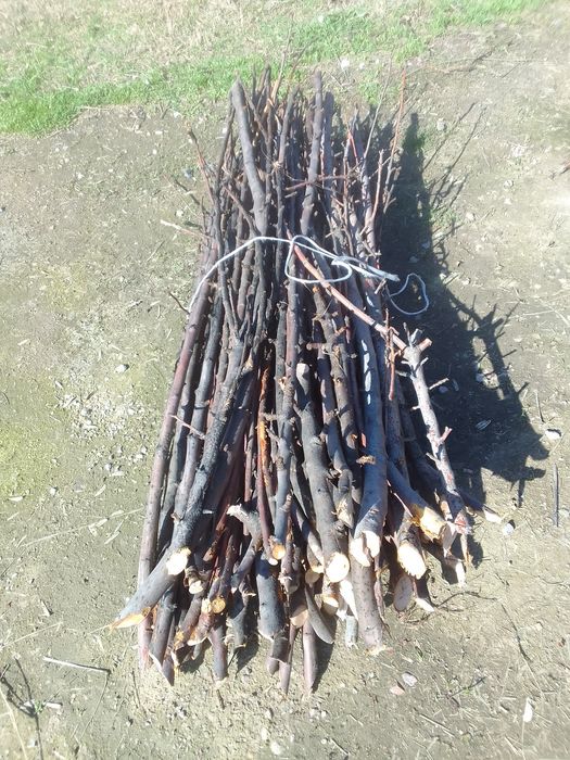 Утин тандирга сотилади