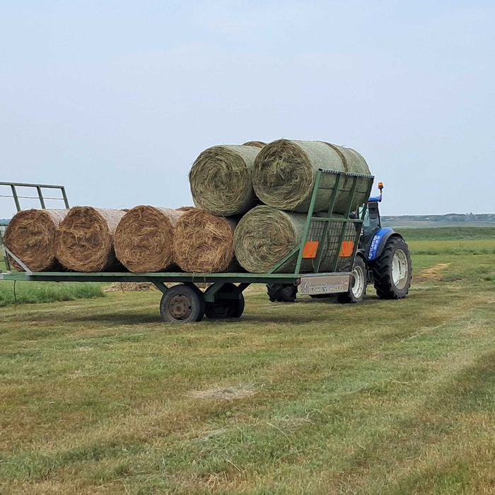 Baloti fan uscat 120x120 – calitate superioară