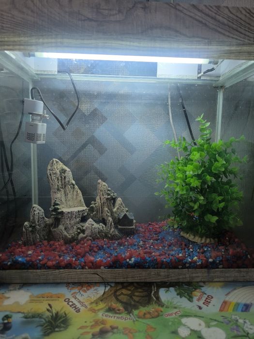 Продам идияльный Аквариум  50литровый