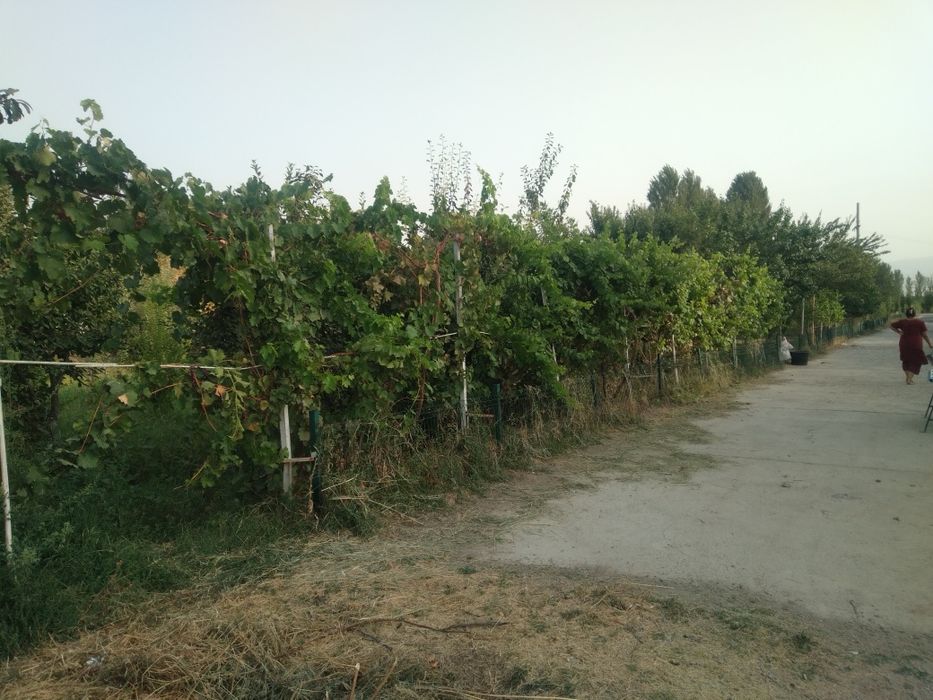 Намунали уй 2014 йил