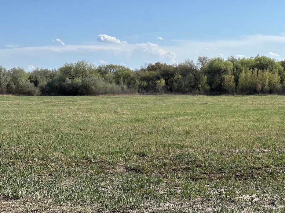 Земля сенокос пашня сено кх