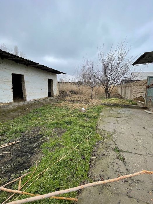 Hovli 12 sotx yaxshi joyda joylashgan