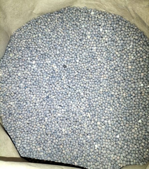 Samanta Măzăriche de primăvară recolta 2025 la sac 25 kg