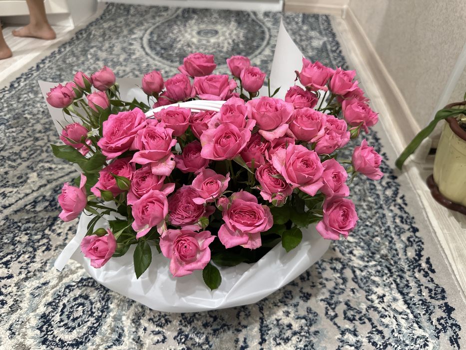Цветы/гул/ flower