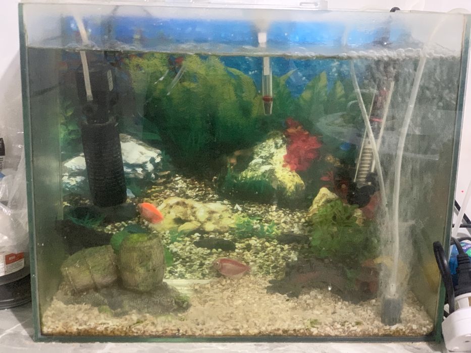 Аквариум 30 литр с рыбками срочно
