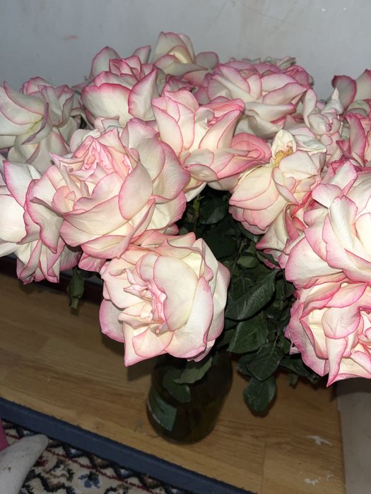 Голанлски розы 5 мынга