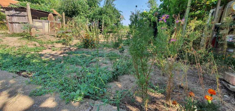 Продава се Къща в с. Просторно, Област Разград - 84 кв.м за 122 €/кв.м - Снимка #5