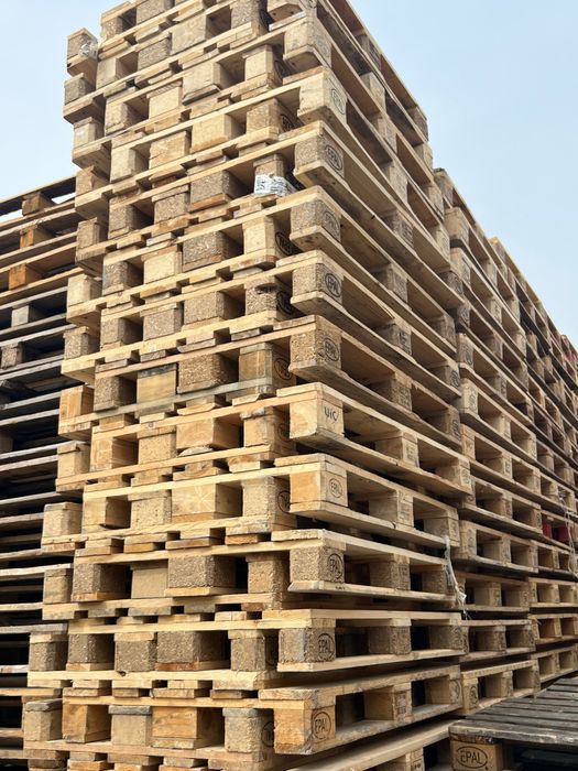 Поддон паддон paddon poddon асартимент