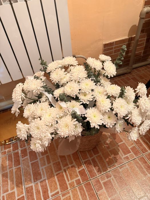 Хризантемы свежие, красивые!