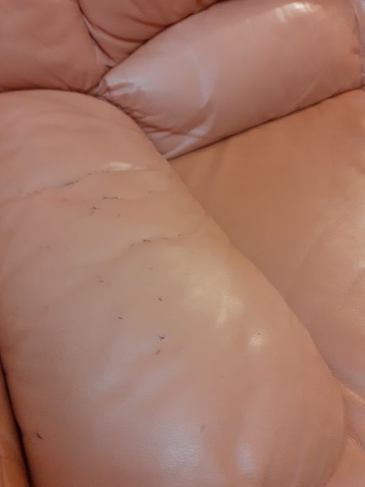 Canapea de piele 2 locuri