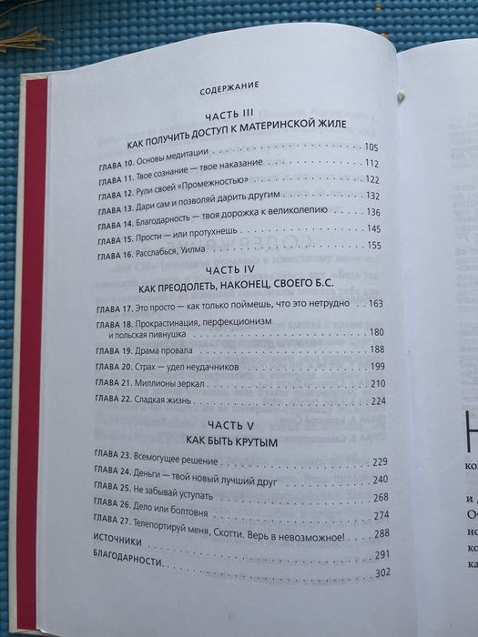 Книга НИ СЫ Джен Синсеро