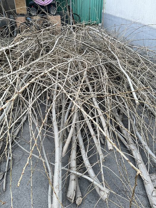 ДАРОМ отдам дрова для бани