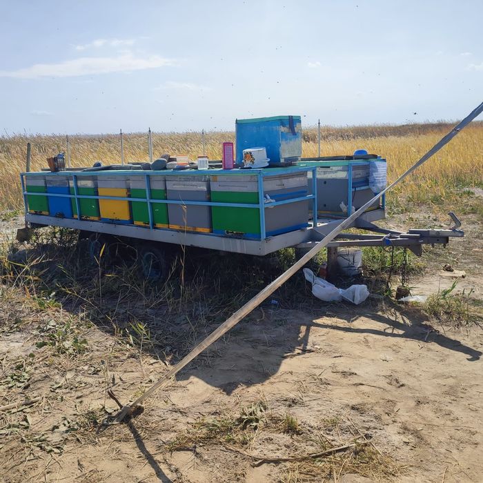 Продаётся пчелоприцеп