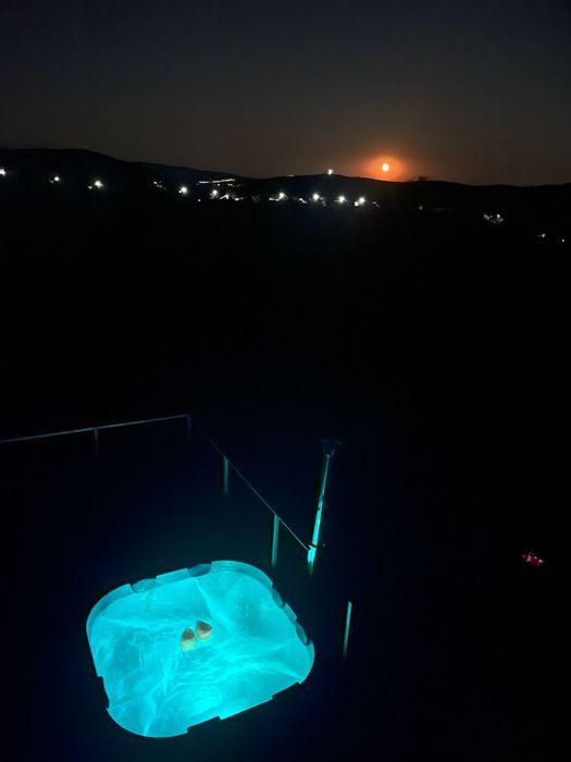 Pensiune/Cabana/jacuzzi/ciubar de inchiriat