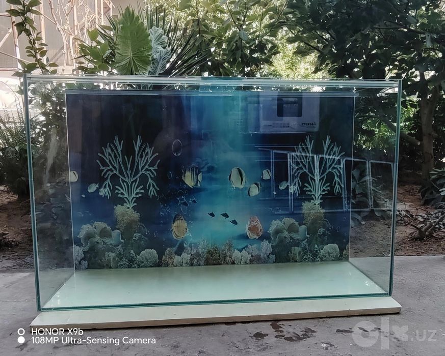 Akvarium sotiladi