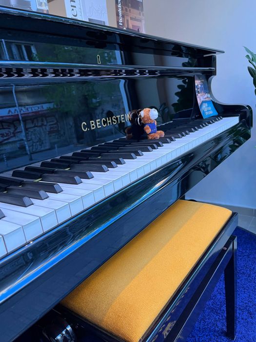 Роял C.BECHSTEIN модел M продава пиано магазин Мелодия