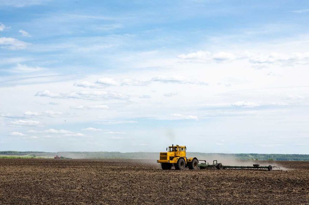 Борона пружинная БСП