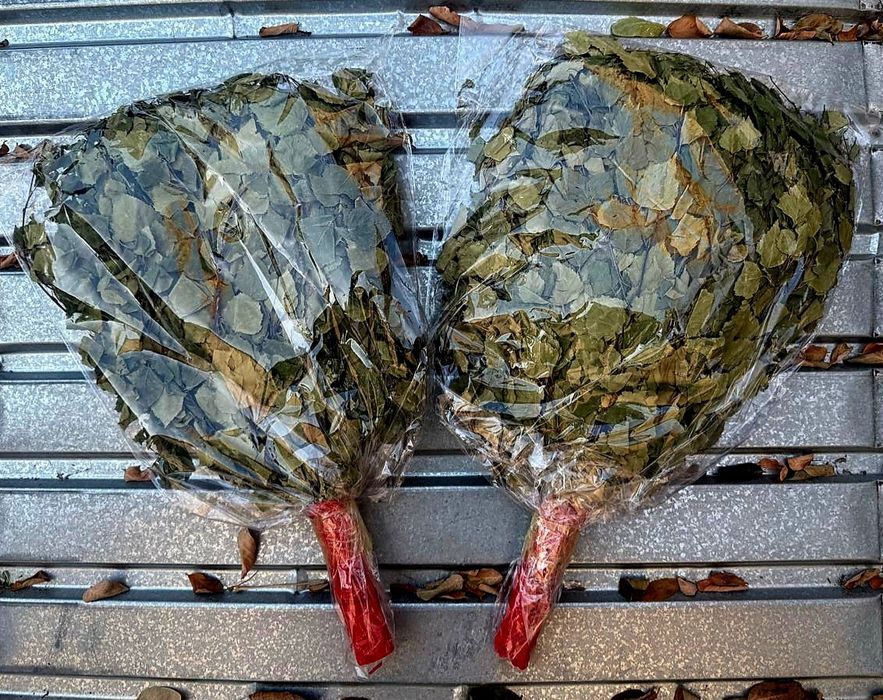 Веник дубовый и берёза + Доставка