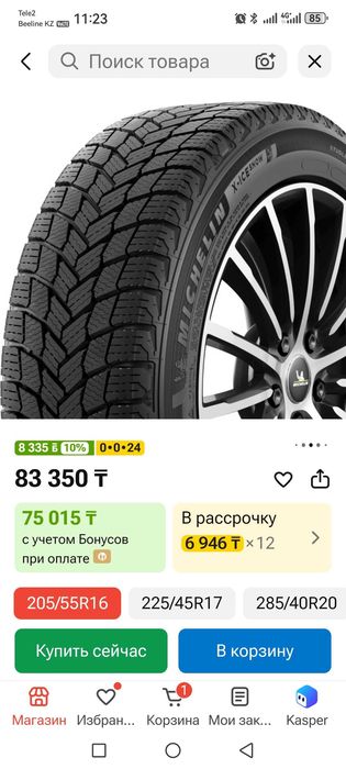 Шины зимние Мишлен