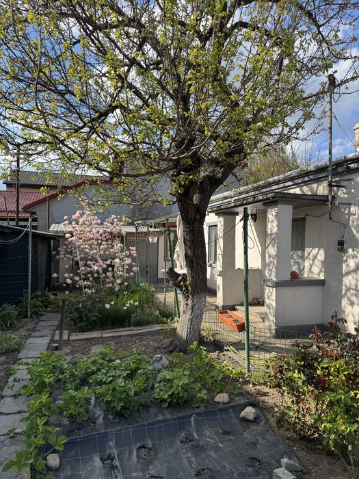 Vand casa zona Islaz Autogara