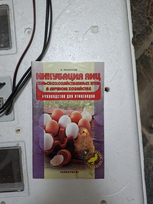 Инкубатор для выведения птицы