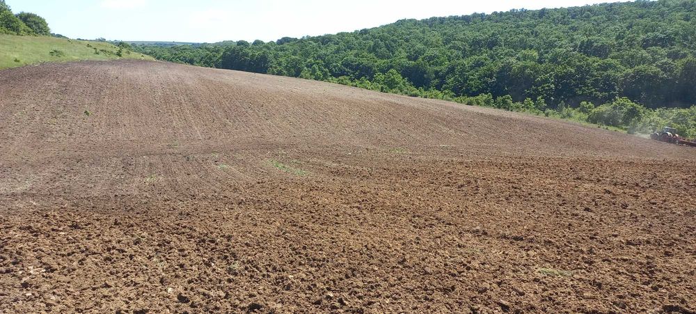 Земеделска земя с.Зорница общ.Аксаково, обл.Варна