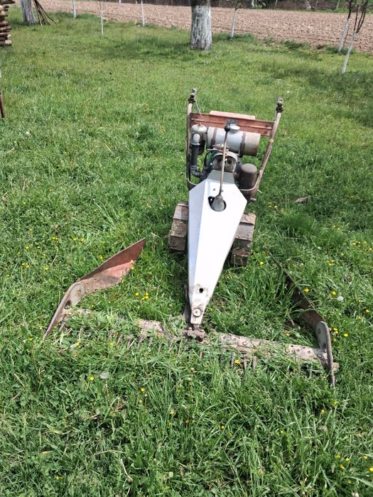 Cositoare Rotax1