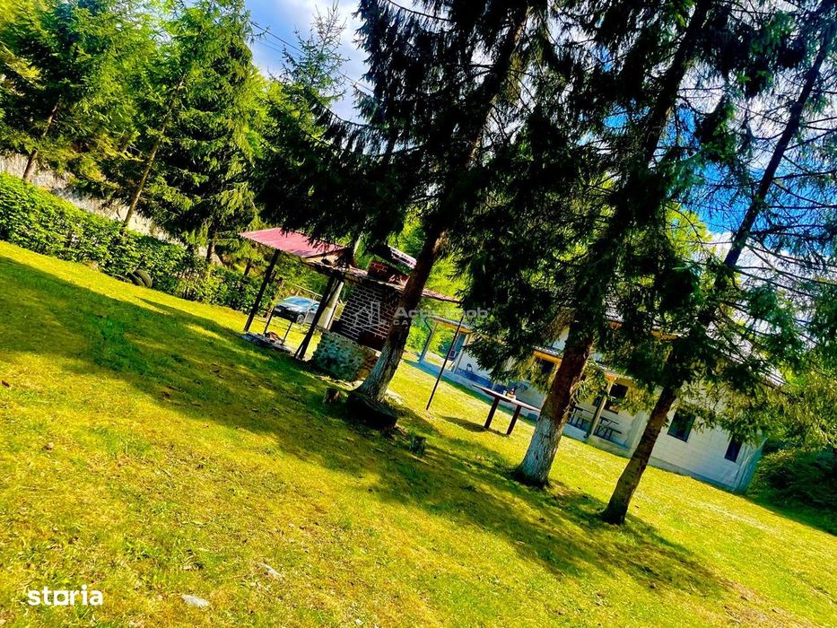 Casa de vacanta de vanzare Valea Avrigului