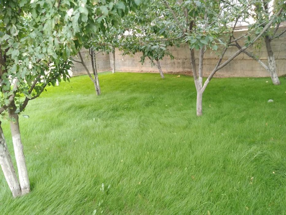 Газон Автополив !