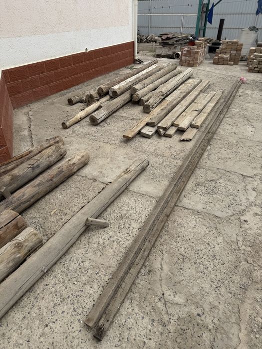 Бөренелер бар бәрін алса түсемін бұданда