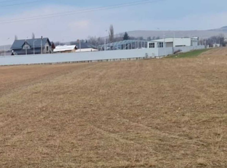 Teren de vanzare Targu Neamt