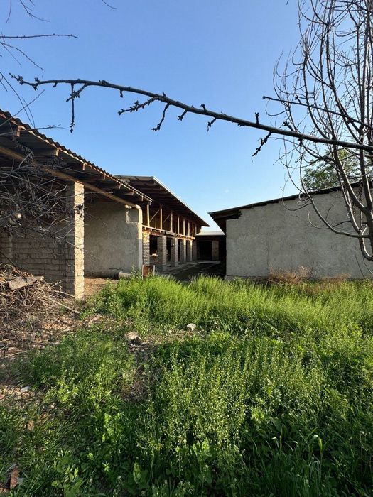 Molxona arendaga beriladi