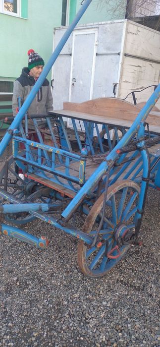 Trăsură pt căluț sau ponei