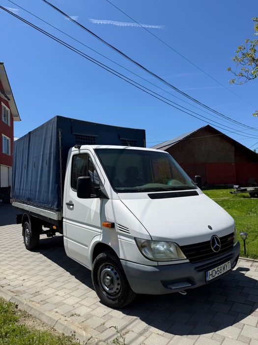 Mercedes sprinter 313 transport animale