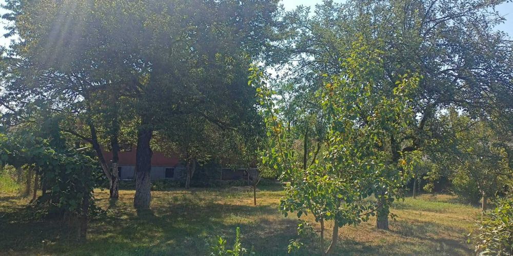 Продава се Къща в с. Новачене, Област София-област - 41 кв.м за 560 €/кв.м - Снимка #10