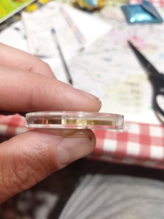 Сребърна монета от Монако с позлата 20g silver + 24k gold