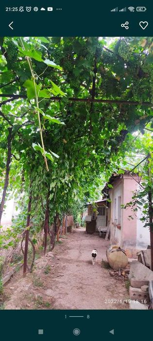 Продаётся дом на Ташморе