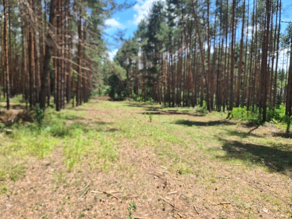 Продава се Парцел в Казанлък - 6200 кв.м за 10 €/кв.м - Снимка #7