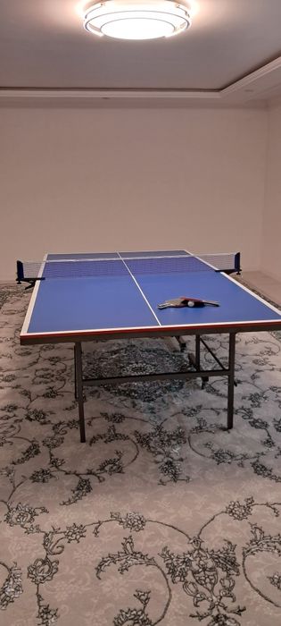 Stol tennis; ping pong