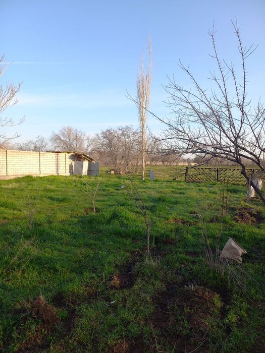 Дача сотилади ташморе 6 сотих